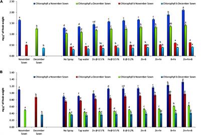 Foliar Spray of Micronutrients Alleviates Heat and Moisture Stress in Lentil (Lens culinaris Medik) Grown Under Rainfed Field Conditions